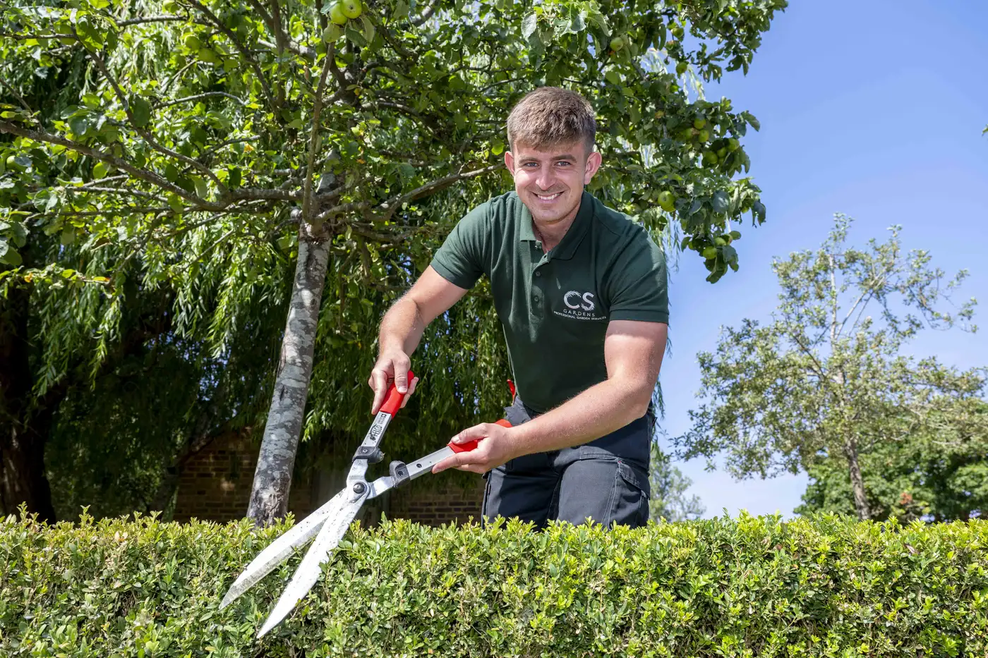 CS Gardens gardener trimming a box hedge with hand shears at a Surrey property CS Gardens gardener trimming a box hedge with hand shears at a Surrey property