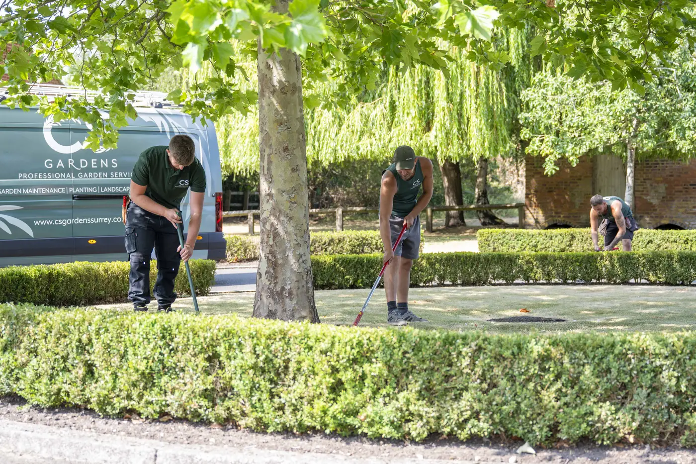 CS Gardens team carrying out lawn care and hedge maintenance at a Surrey property CS Gardens team carrying out lawn care and hedge maintenance at a Surrey property