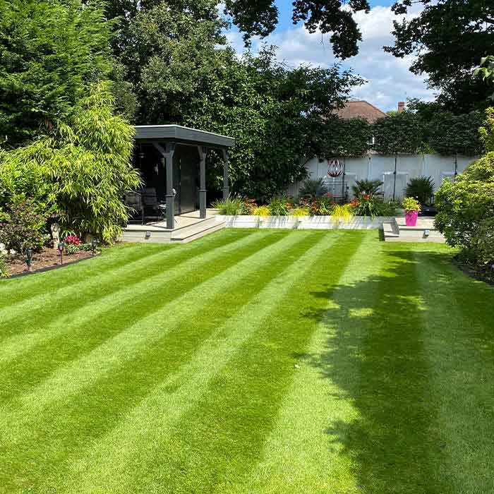 Freshly cut striped lawn with pergola and planted borders Freshly cut striped lawn with pergola and planted borders