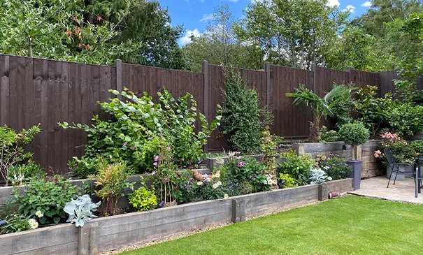 Landscaped raised sleeper beds with mixed planting Landscaped raised sleeper beds with mixed planting