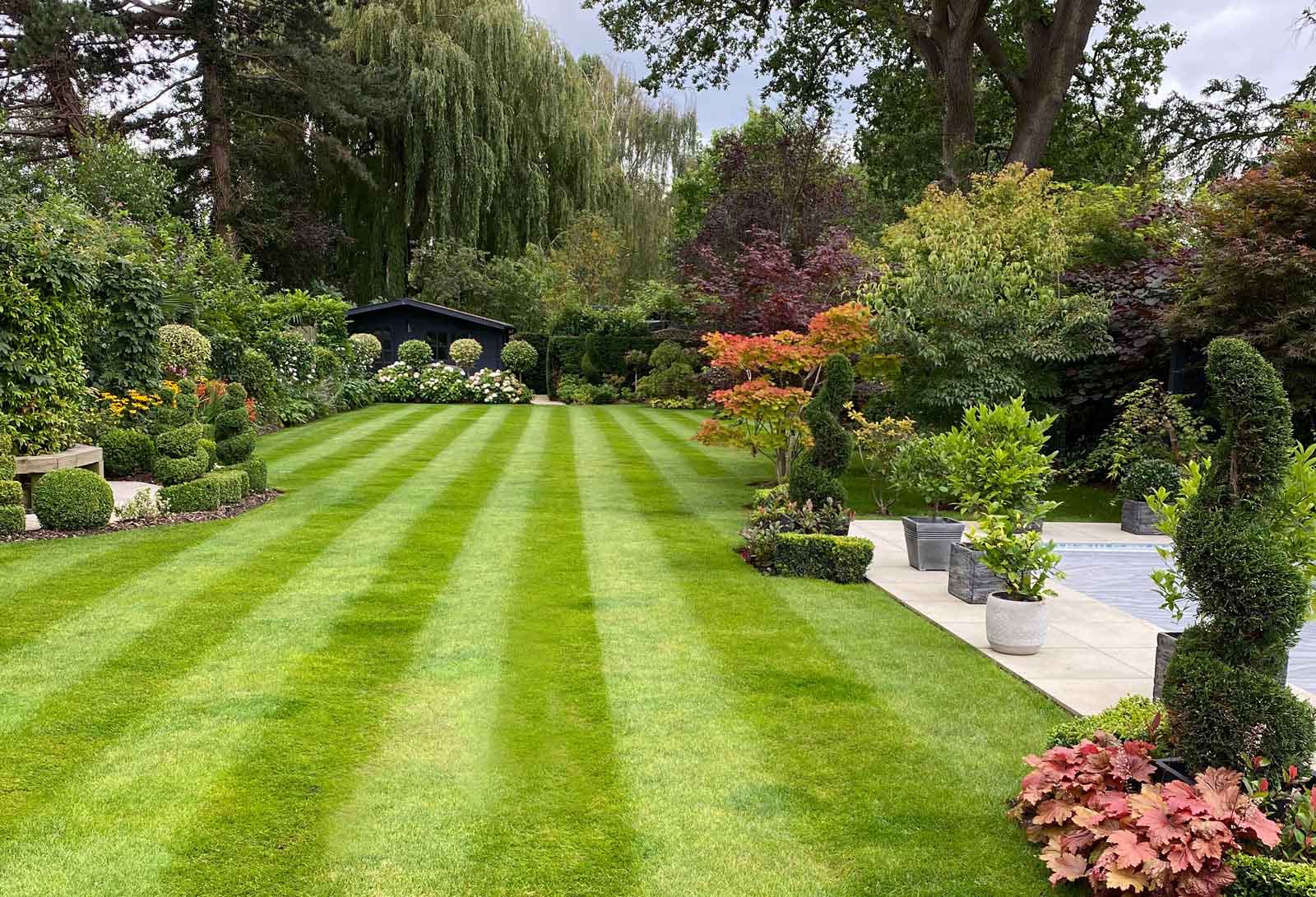 Landscaped garden with striped lawn maintained by CS Services in Surrey