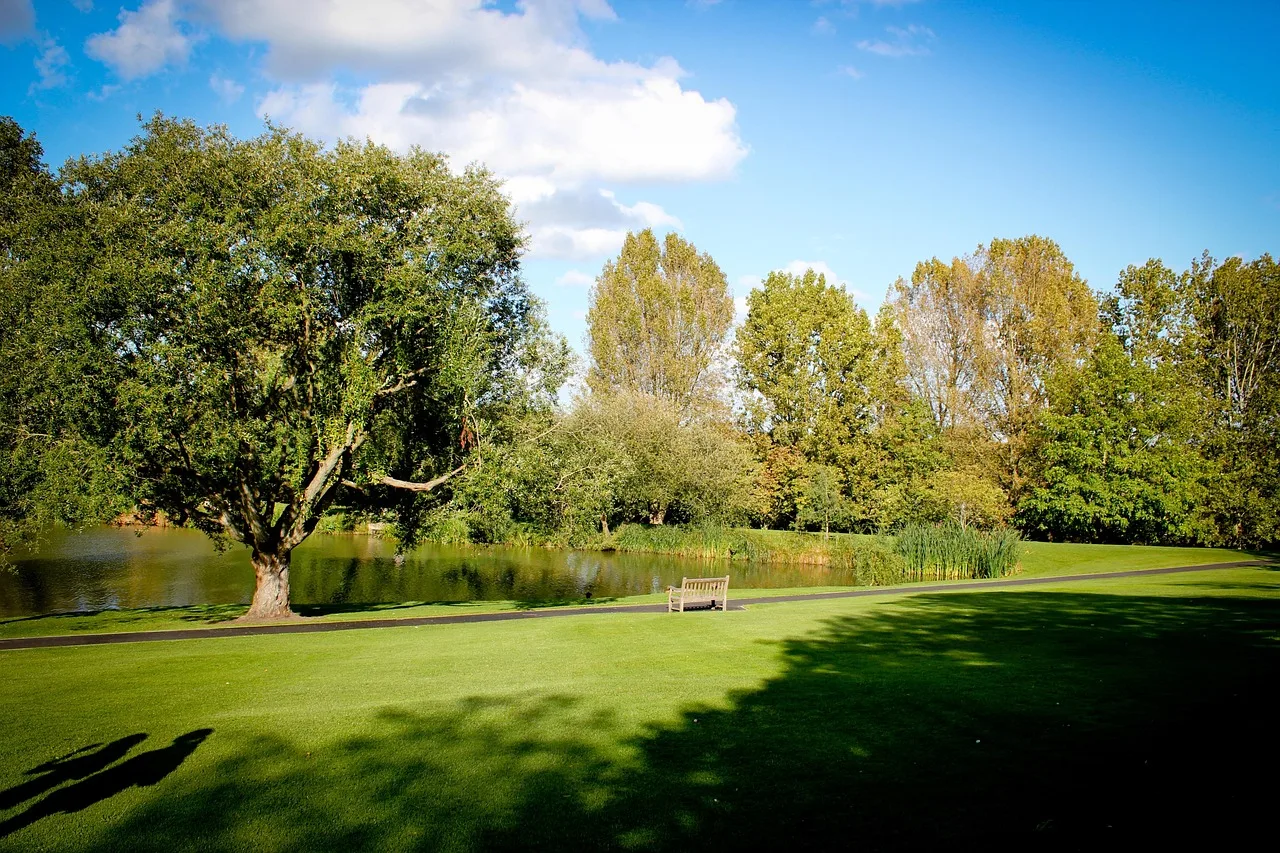 Mature parkland of the kind that surrounds Esher