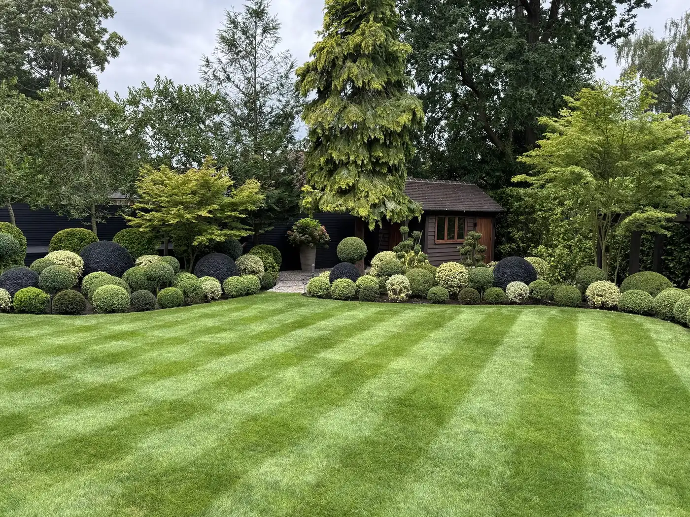 Striped lawn and sculpted topiary borders maintained by CS Services in Surrey