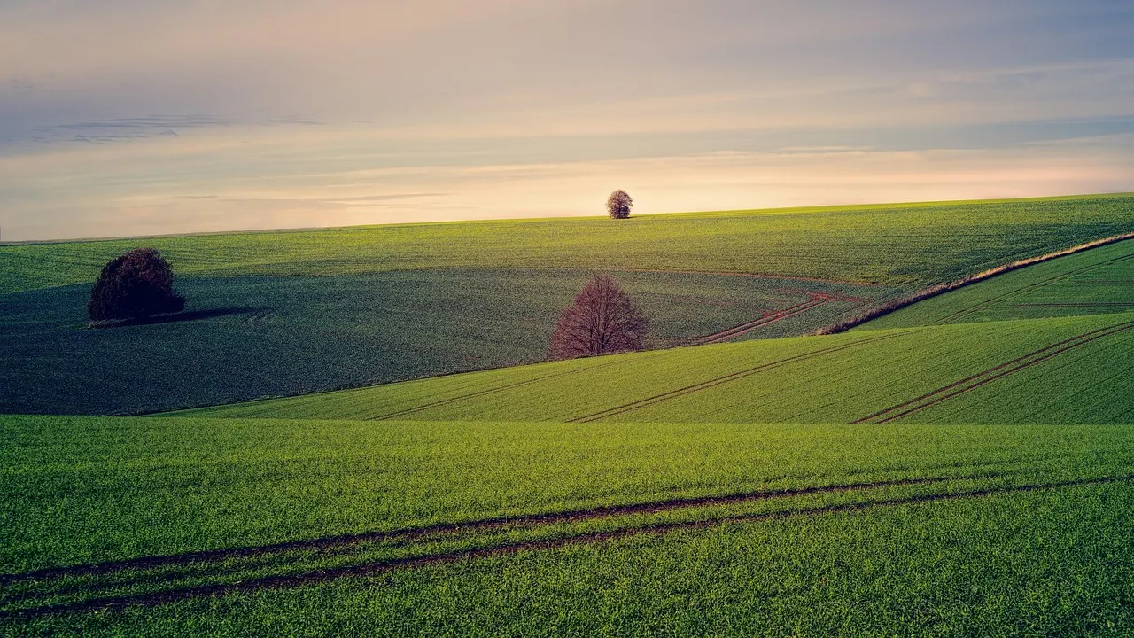 Rolling green downland of the kind that surrounds Epsom